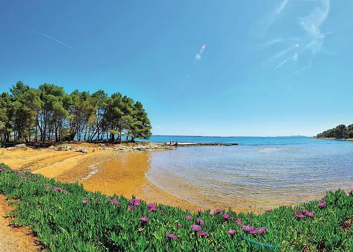 Pet Friendly In With House Sea View *